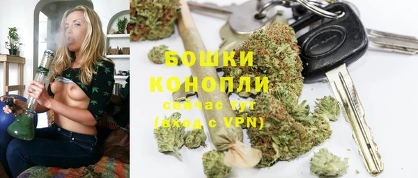 крисы Арсеньев
