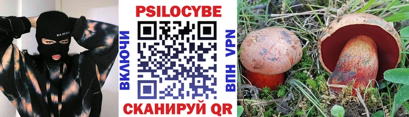 Псилоцибиновые грибы Psilocybe  купить   Суровикино 
